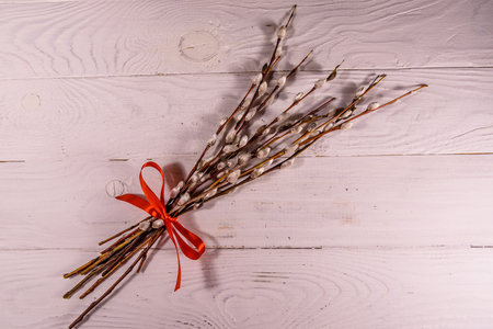 Pussywillow bouquet on a white wooden table. Top viewの写真素材