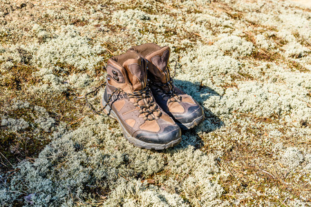 Touristic boots on a ground in forestの写真素材