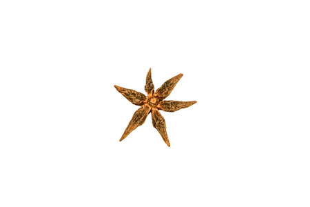 Star anise spice isolated on white background