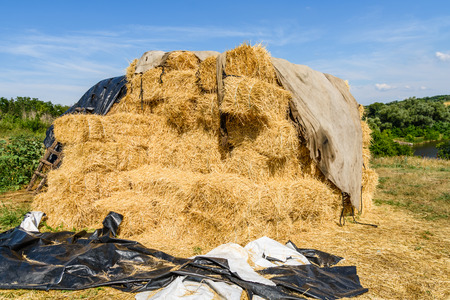 Pile of the rectangular straw bales on farmyardの写真素材
