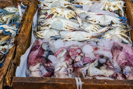Blue crabs and squids on fish market in Hurghada city, Egyptの写真素材