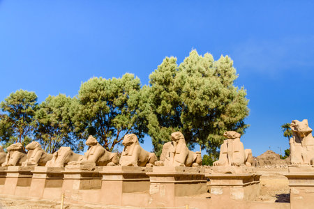 Avenue of the ram-headed Sphinxes in Karnak Temple. Luxor, Egypt