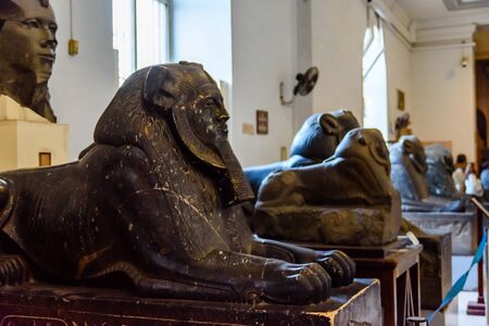 Cairo, Egypt - December 8, 2018: Sphinxes in Museum of Egyptian Antiquities (known commonly as the Egyptian Museum or Museum of Cairo)のeditorial素材