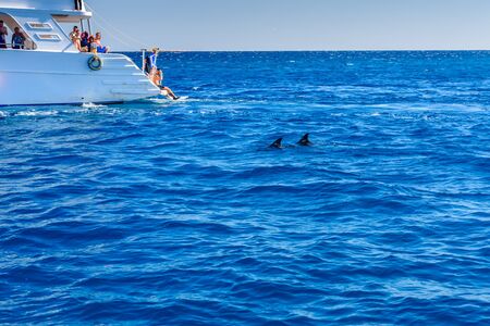 Hurghada, Egypt - December 7, 2018: People spending time on white yacht in Red sea and watching the dolphinsのeditorial素材
