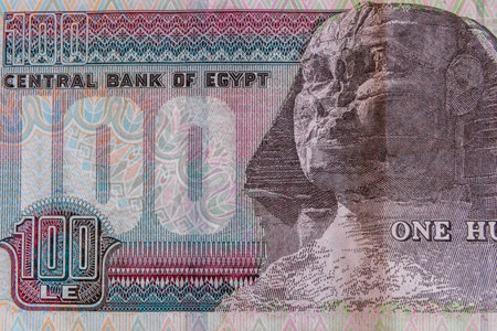Closeup of the egyptian one hundred pounds banknote