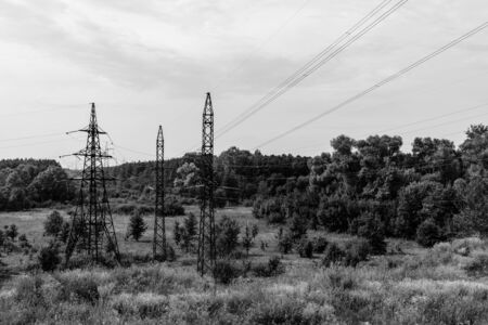 High voltage power line in a forestの写真素材