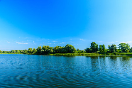 Summer landscape with green trees and river