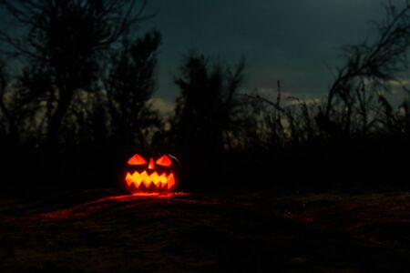 Carved halloween pumpkin jack-o-lantern with burning candles glows in darkness. Spooky landscapeの写真素材