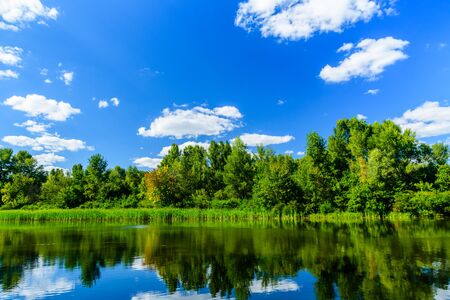 Summer landscape with green trees and riverの写真素材