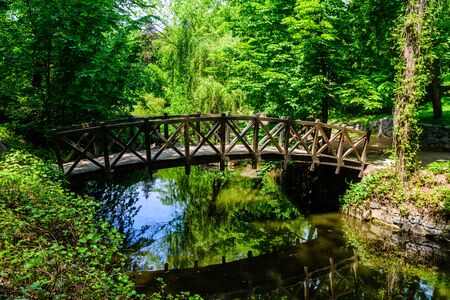 Wooden footbridge in city park on summerの写真素材