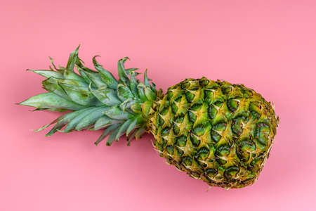 Whole ripe pineapple on a pink backgroundの写真素材