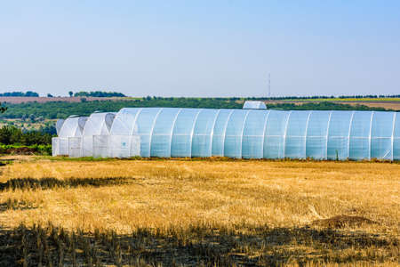 Greenhouse made with metal frame and polyethylene film at farmの写真素材