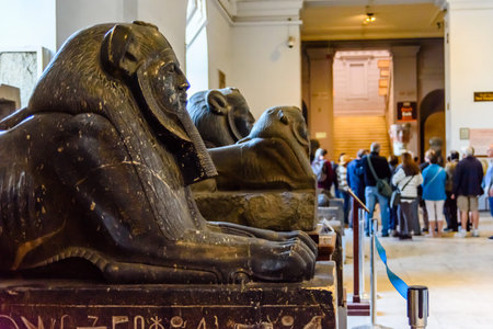 Cairo, Egypt - December 8, 2018: Sphinxes in Museum of Egyptian Antiquities (known commonly as the...