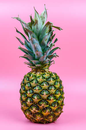 Whole ripe pineapple on a pink backgroundの写真素材