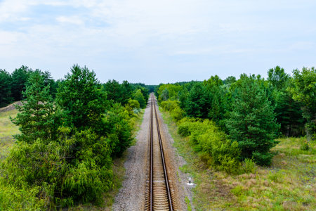 Old railroad in the forest on summerの写真素材