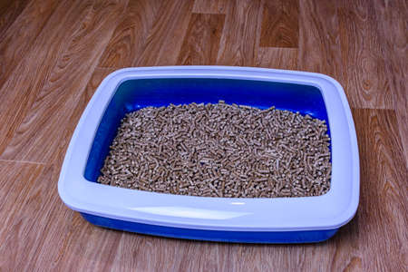 Pet litter box with filler on floorの写真素材