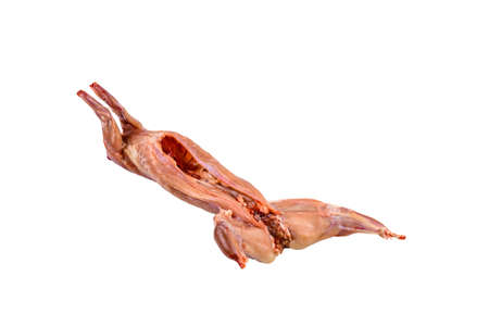 Whole carcass of raw rabbit isolated on white background. Dietary foodの写真素材