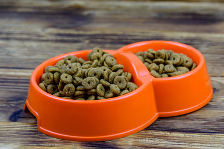 Bowl with pet food on wooden background