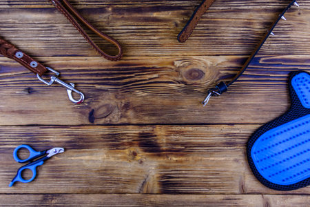 Brown leather dog leash, collar, pet slicker brush glove and scissors for claws on wooden...