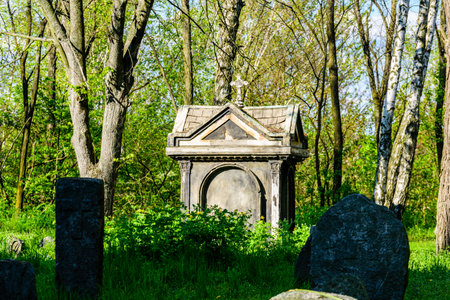 Old stone crosses and crypt at ancient cemetery. Abandoned graveyardの写真素材