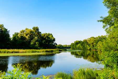 Summer landscape with green trees and river