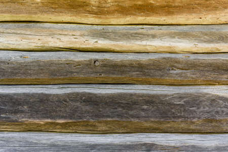 Texture of logs. Wooden pattern for backgroundの写真素材