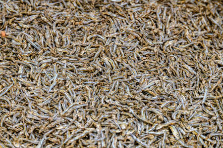 Texture of dried capelin fish. Seafood backgroundの写真素材