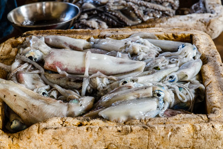 Raw calamari for sale at fish market