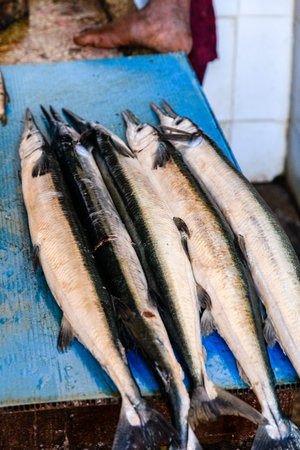 Barracuda fish for sale at fish market