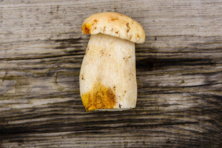Freshly picked porcini mushroom on rustic wooden table. top view