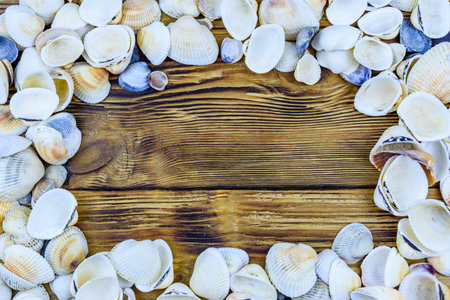 Heap of sea shells on wooden background. top viewの写真素材