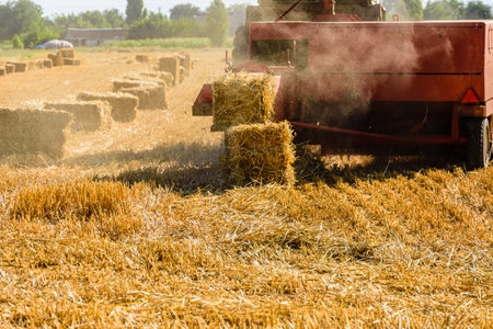Harvester makes bales of straw at agricultural field. Agricultural conceptの写真素材