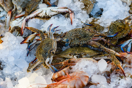 Crabs and shrimps for sale at fish marketの写真素材