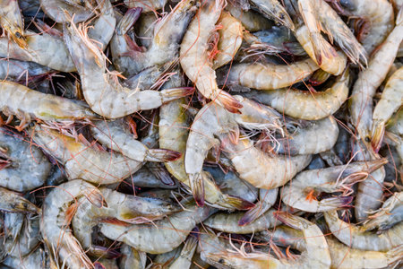 Raw shrimps for sale at street marketの写真素材