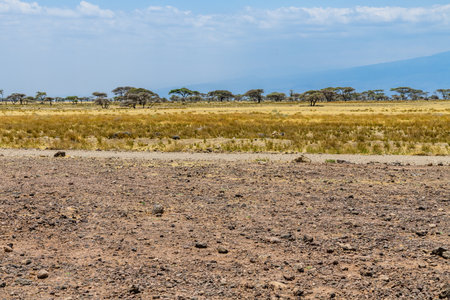 Beautiful landscape at Ngorongoro conservation area, Tanzaniaの写真素材