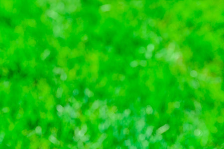 Defocused, abstract and blurred background. green bokeh