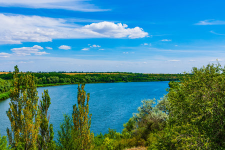Summer landscape with green trees and river