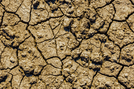 Background of cracked dry barren soil. Global warming concept