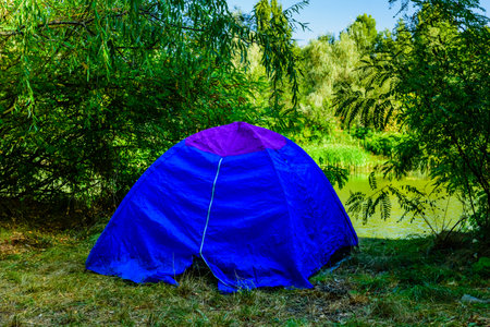 Blue tent in green forest on summerの写真素材
