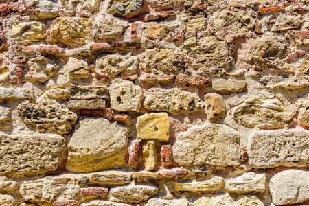 Texture of shell rock limestone wall for background. Natural patternの写真素材