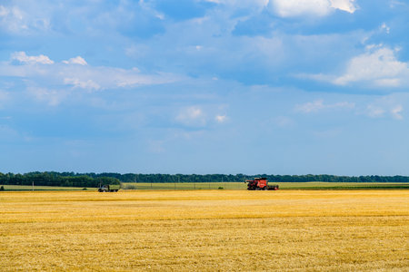 Combine harvester working at wheat field. Agricultural conceptの写真素材