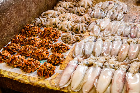 Raw calamari and octopuses for sale at fish marketの写真素材