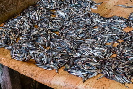 Capelin fish for sale at fish marketの写真素材