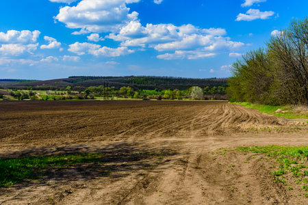 Plowed agricultural field at summer. Rural landscape in Ukraineの写真素材
