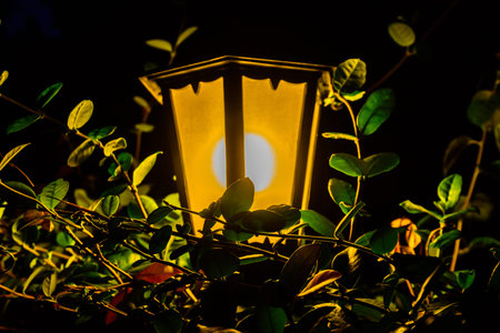 Old street lantern in green foliage at night