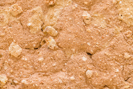 Texture of shell rock limestone for background. Natural patternの写真素材