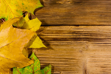 Heap of the yellow maple leaves on wooden table. Top view