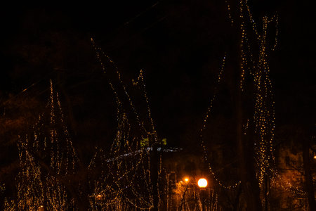 Trees decorated with christmas lights in street. Dnipro, Ukraine
