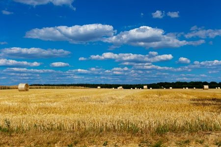 straw bales in a field with blue and white skyの写真素材