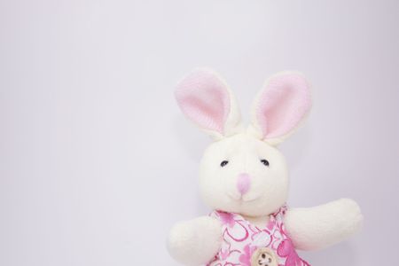 A female rabbit plush toy.の写真素材